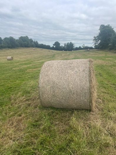 Round bales of Hay