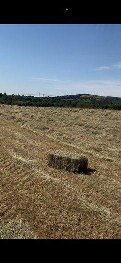 Small square Hay bales
