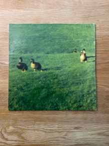 Orbital - Nothing Left - 12" Vinyl Single - 1999 London Records