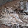 Beige Leather Jacket Image 6