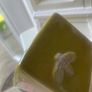 ShabbyChic Home Decor from NEXT Image 7