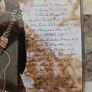Steven Seagal CD (Blues) - Mojo Priest Image 2