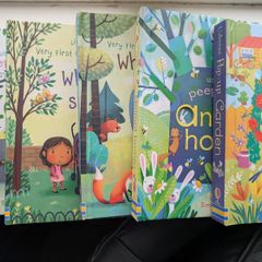 Usborne pop-up books