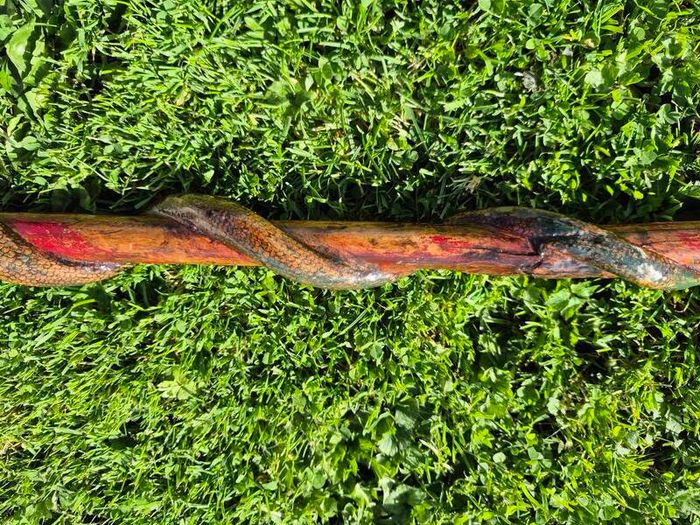 Hand-Carved Wooden Snake Walking Stick / Serpent Cane