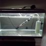 tanks for sale 2 40cm 2 60cm Image 3