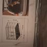 Dog Cage Image 3