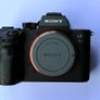 Sony Alpha 7 R III Image 3