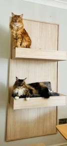 Solid heavy duty wall mounted cat tower / bed