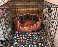 Dog Crate