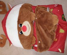 kids sleeping bags