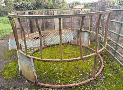 Round cattle hay Feeder