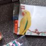 LEGO 31211 The Fauna Collection Macaw Parrots Image 10