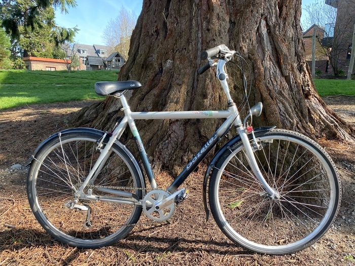 Gazelle 57cm city bike comfortable and reliable
