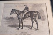 Old Framed Print Of The Late Fred Archer On Minting By John Beer.