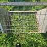 JFC JFC 10 Teat Gate Feeder Trough & Hay Racks Image 4