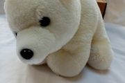 White Bear in a box