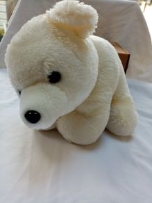 White Bear in a box