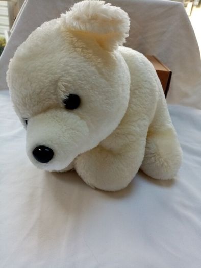 White Bear in a box