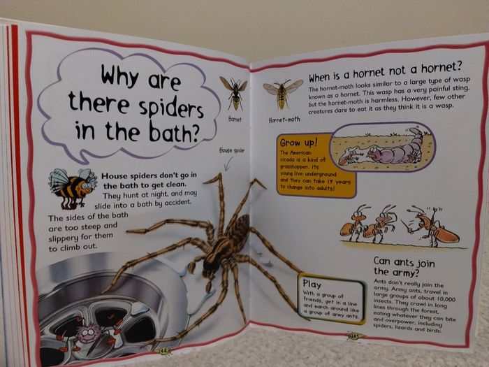 My First Question And Answer Educational Book