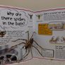 My First Question And Answer Educational Book Image 9