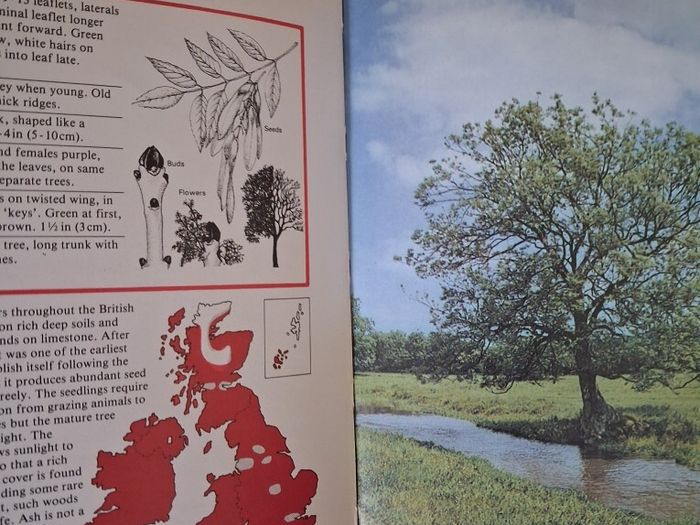 The Guiness Book of Trees / 1st ed.,  1981