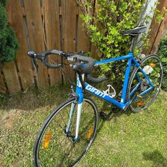 Giant Defy 3 Blue Road Bike for Sale