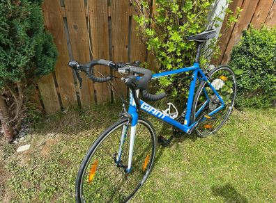 Giant Defy 3 Blue Road Bike for Sale