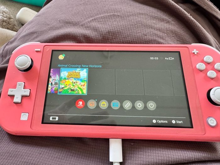 Nintendo Switch Lite