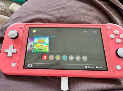 Nintendo Switch Lite