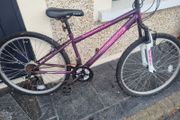 bike needs fixing