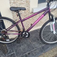 bike needs fixing