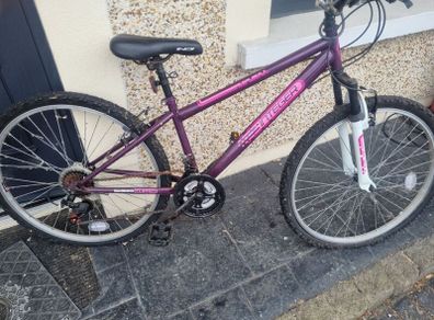 bike needs fixing