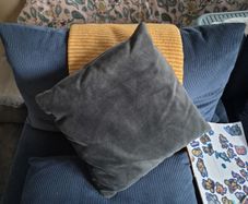 Pillows x 2
