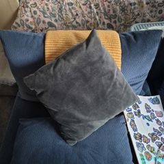 Pillows x 2