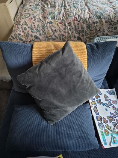 Pillows x 2