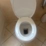 toilet Image 4