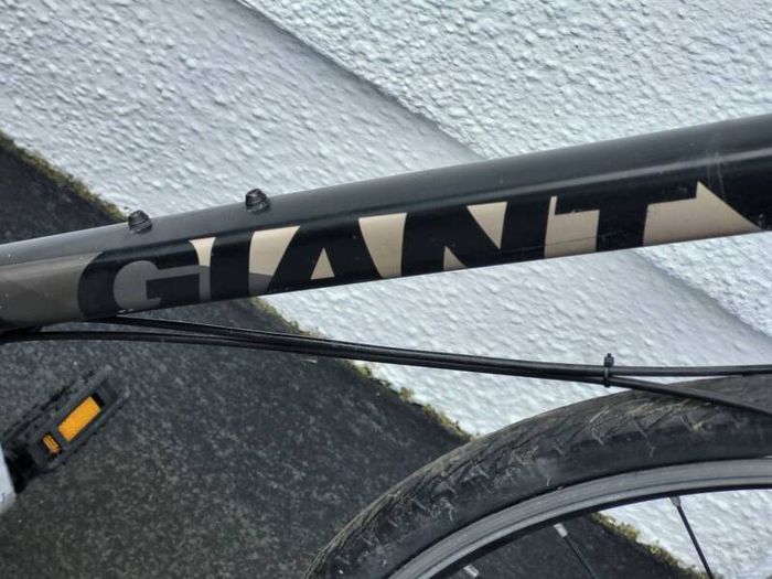 Hybrid Giant Escape 3 Used In Working Order