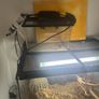 Reptile tank Image 4