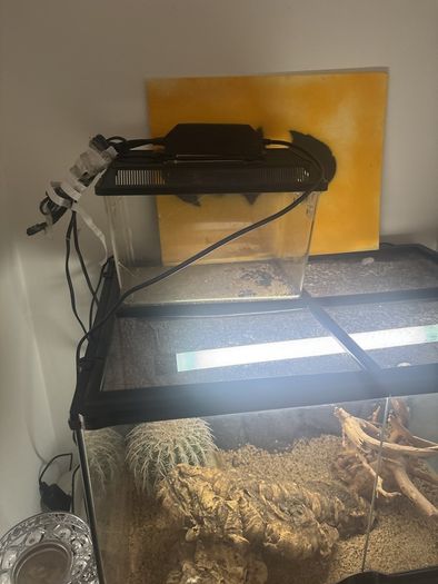 Reptile tank