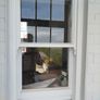 sash windows Image 6
