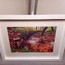 Curragh Woods Image 8