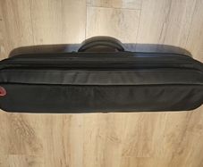 D'addario XPND1 with bag
