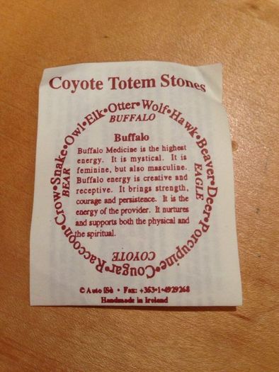 Coyote Totem Energy Stones Necklace.