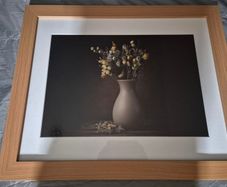 Framed still life