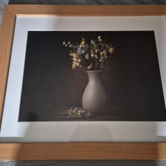 Framed still life