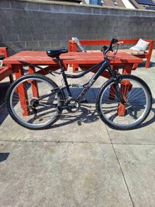 Apollo bicycle