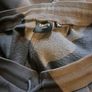 Zavetti Canada Tracksuit Image 6