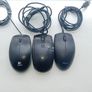 mice Image 3