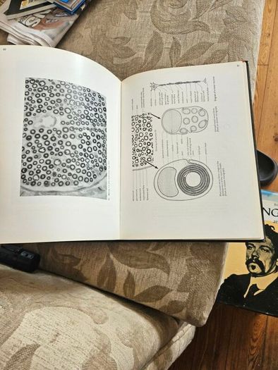 An Atlas Of Histology. By W.h. Freeman And Brian Bracegirdle. Second Edition Large Volume Hardback With Dustjacket.  Book In Good Condition.  Dustjacket Tatty.  See Photos For Same.