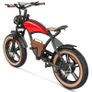 HIDOES B10 Electric Bike Image 6